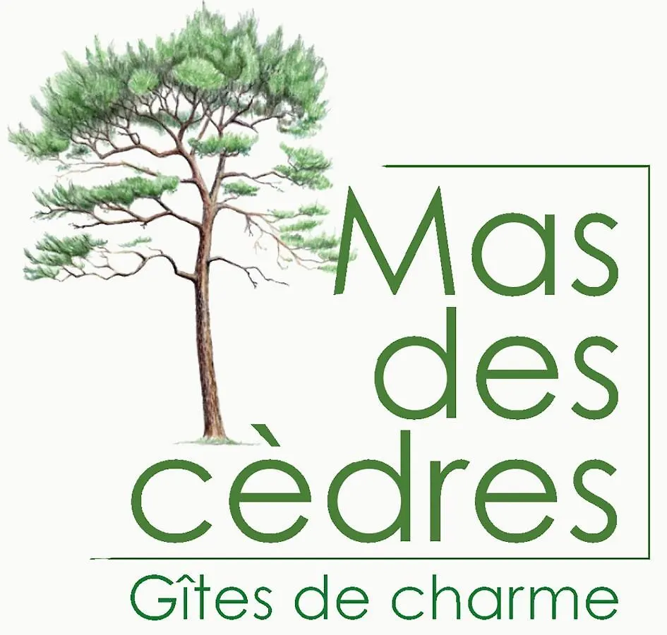 Holiday home Mas Des Cedres Villa Menerbes France